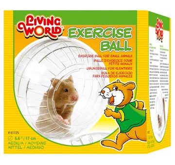 Living World Balle d exercice moyenne avec support pour hamster Online Sale