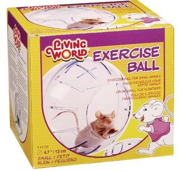 Living World Balle d exercice avec support pour souris et hamster nain Sale