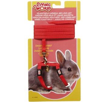 Living World Ensemble laisse et harnais pour lapin nain Supply